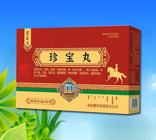 点击放大 珍宝丸 珍宝丸